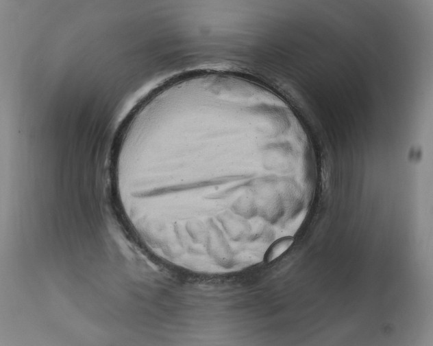 X0000111900532200908241005