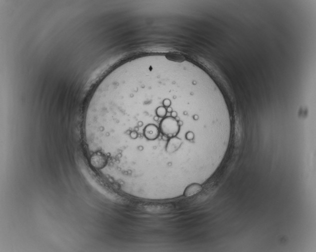 X0000111900533200908241005