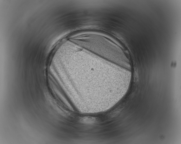 X0000111900535200908241005