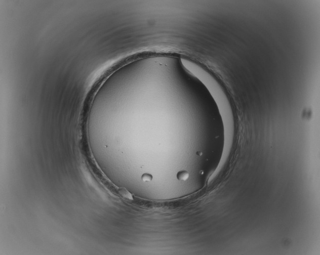 X0000111900536200908241005