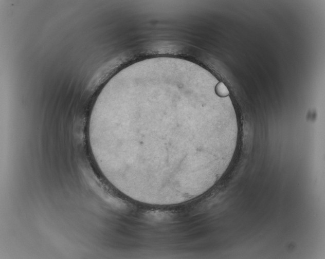 X0000111900537200908241005