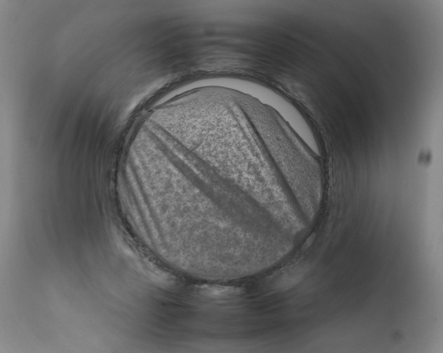 X0000111900539200908241005