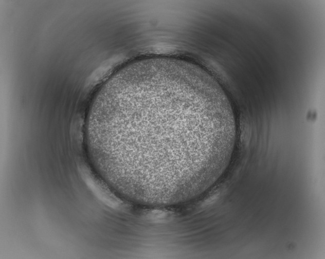 X0000111900542200908241005