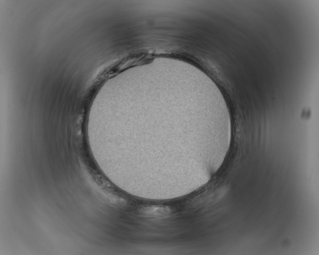 X0000111900543200908241005