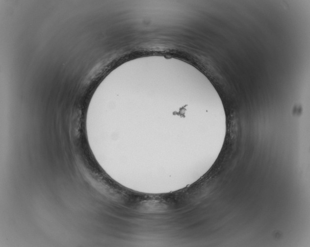 X0000111900544200908241005