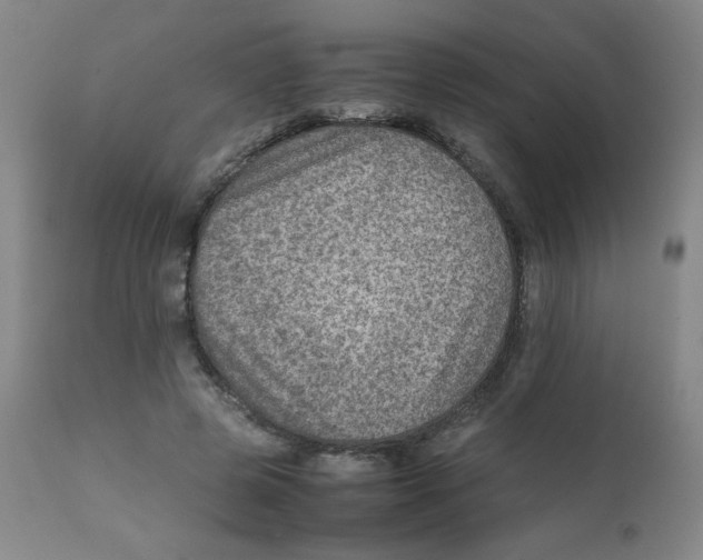 X0000111900545200908241005