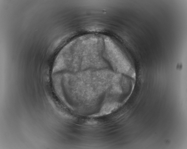 X0000111900547200908241005