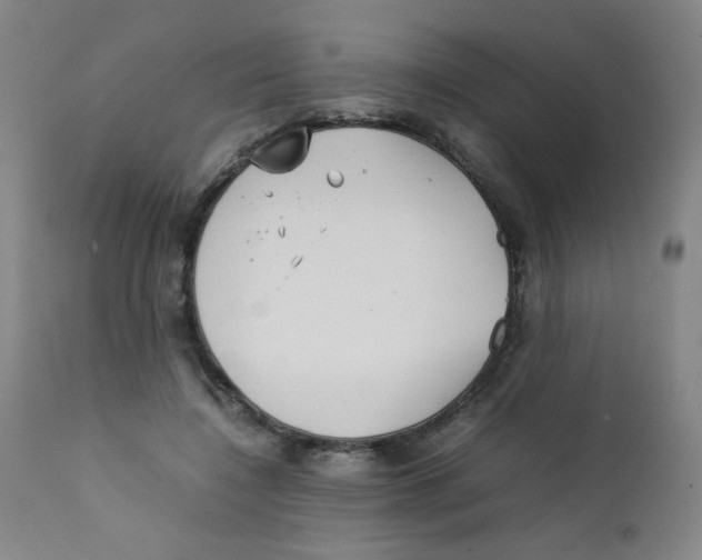 X0000111900548200908241005