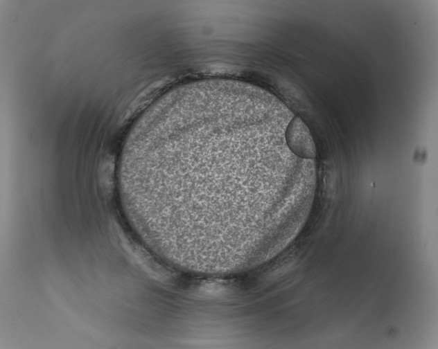 X0000111900550200908241005