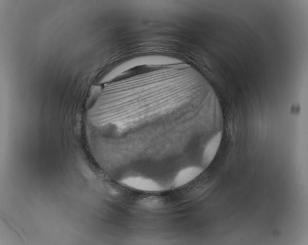 X0000111900551200908241005