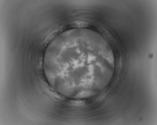 X0000111900553200908241005