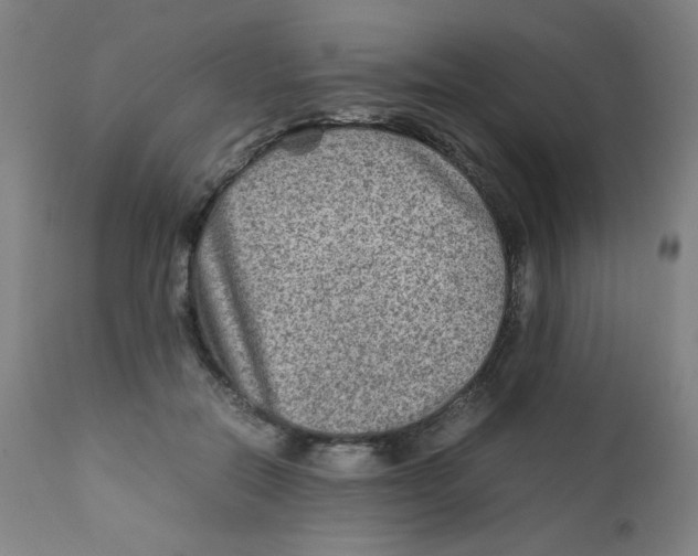 X0000111900554200908241005