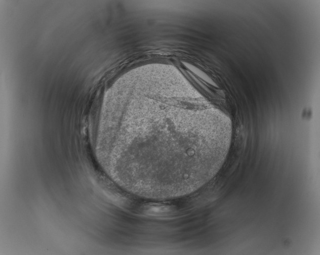 X0000111900555200908241005