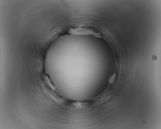 X0000111900558200908241005