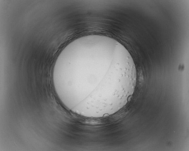 X0000111900559200908241005