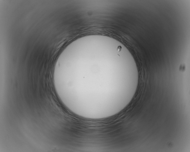 X0000111900560200908241005