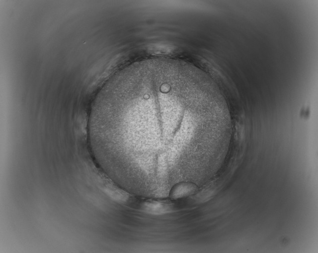 X0000111900561200908241005