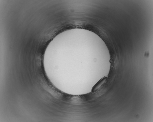 X0000111900562200908241005