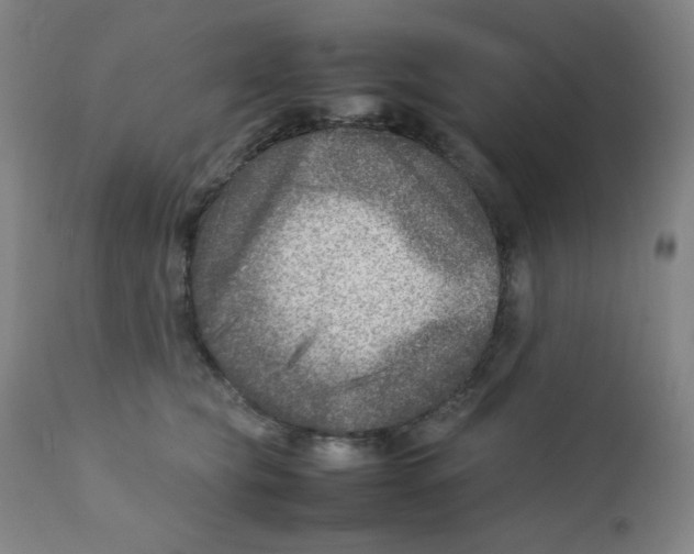 X0000111900565200908241005