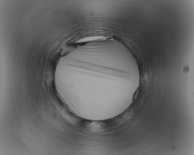 X0000111900566200908241005