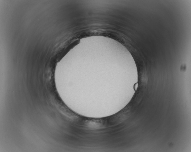 X0000111900567200908241005