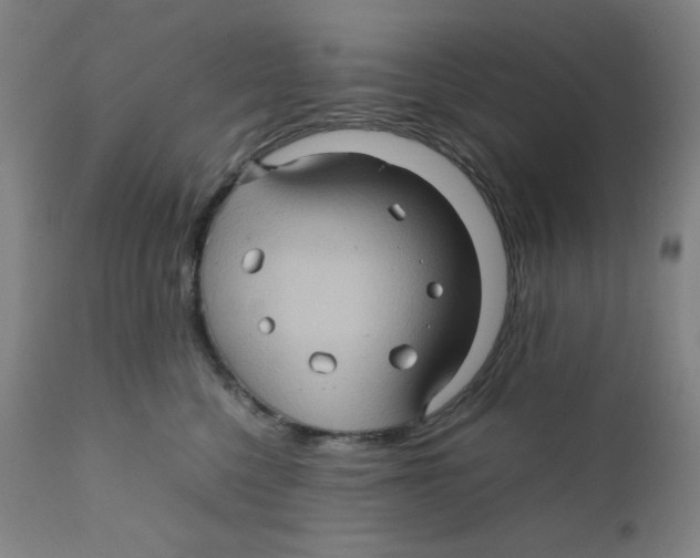 X0000111900568200908241005