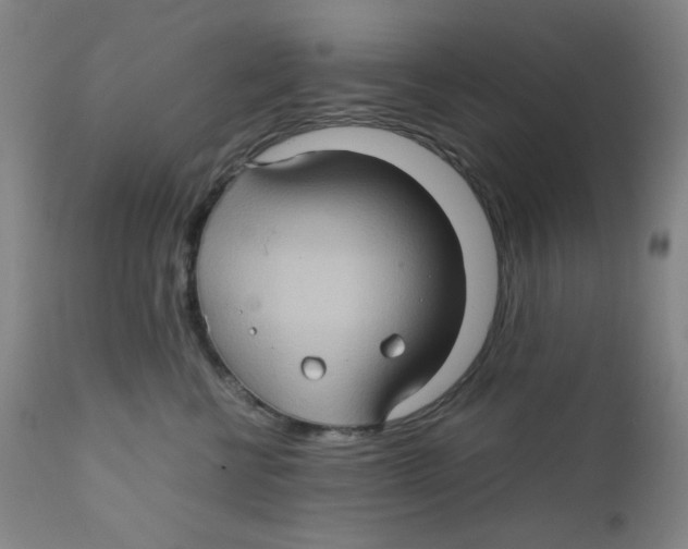 X0000111900570200908241005