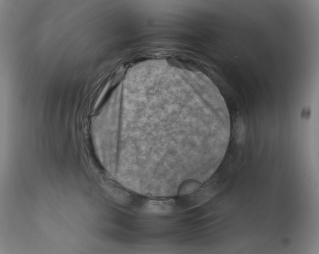 X0000111900571200908241005