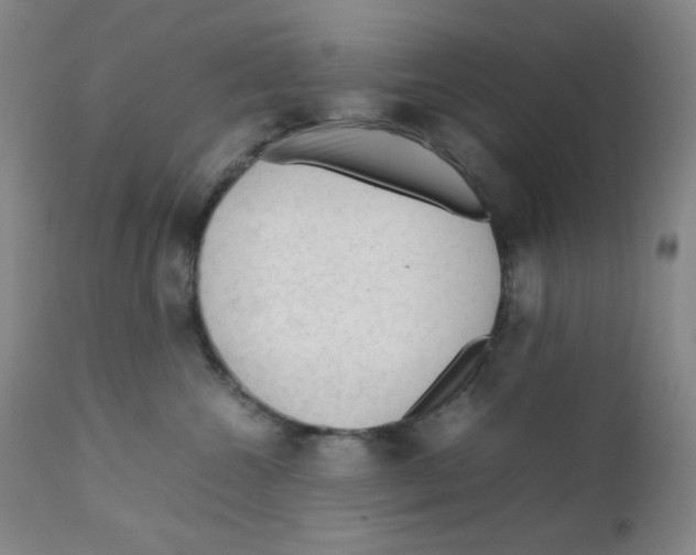 X0000111900572200908241005