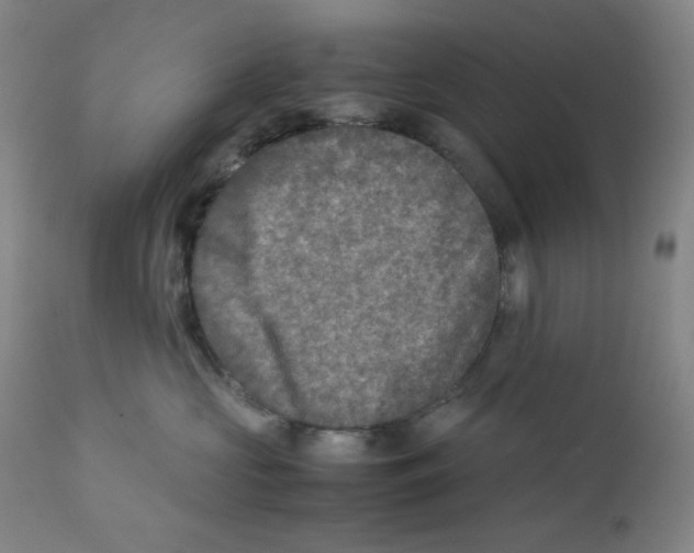 X0000111900573200908241005