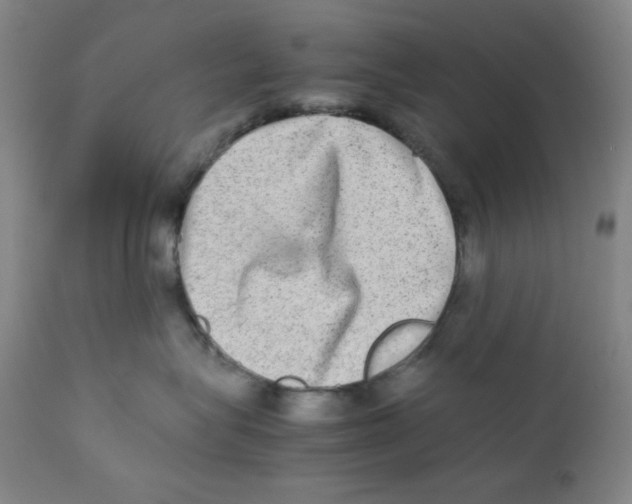 X0000111900575200908241005