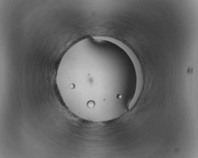 X0000111900576200908241005