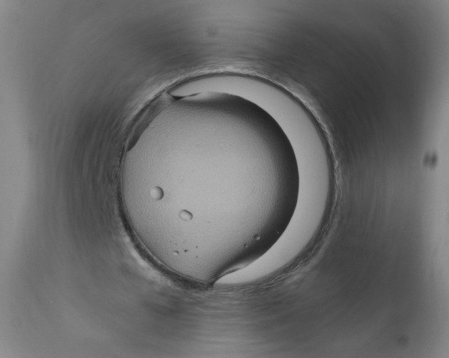 X0000111900577200908241005