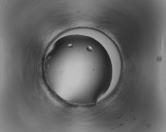 X0000111900581200908241004