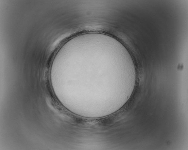 X0000111900583200908241004