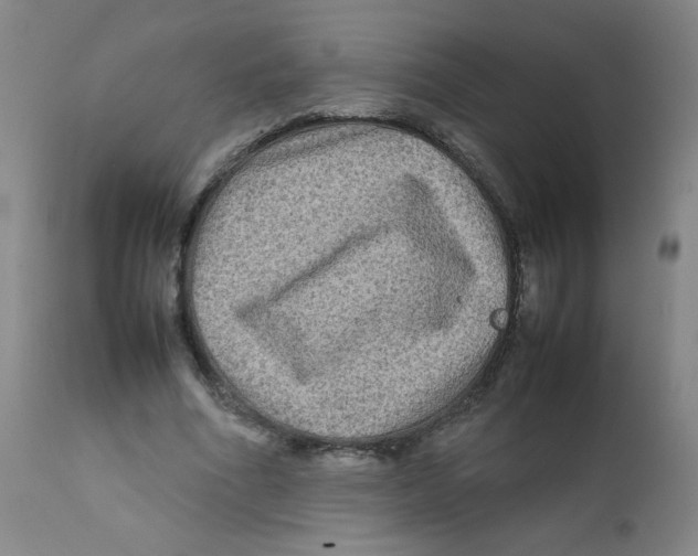 X0000111900586200908241004