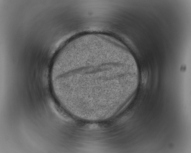 X0000111900588200908241004