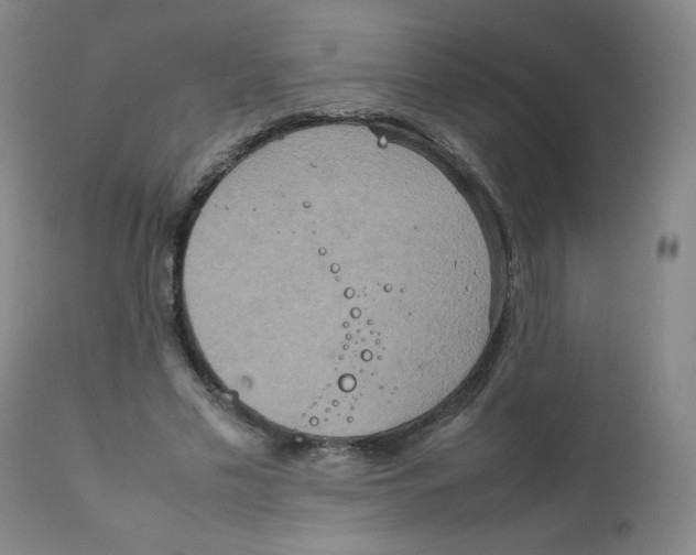 X0000111900589200908241004