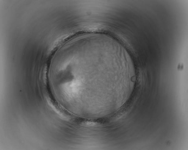 X0000111900590200908241004