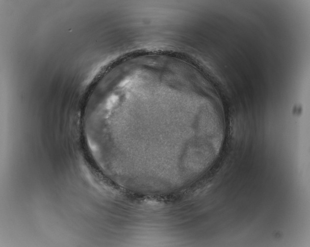 X0000111900592200908241004