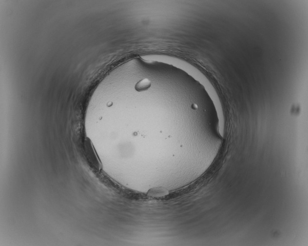 X0000111900593200908241004