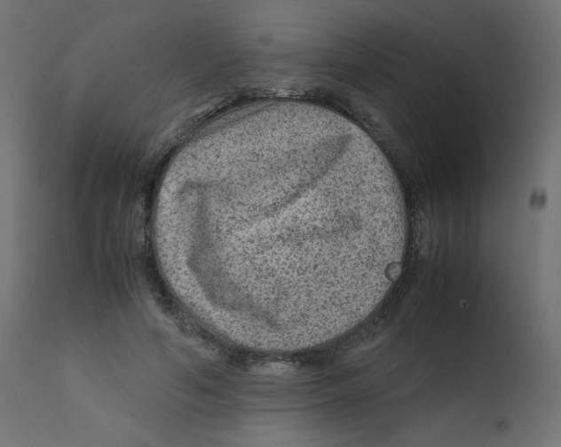 X0000111900594200908241004