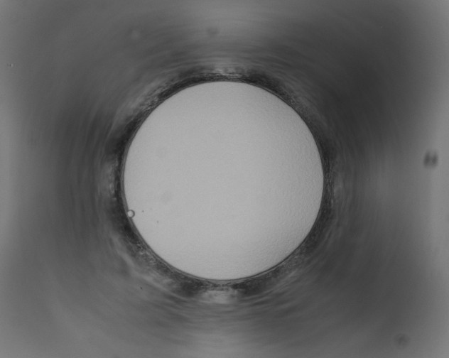 X0000111900595200908241004