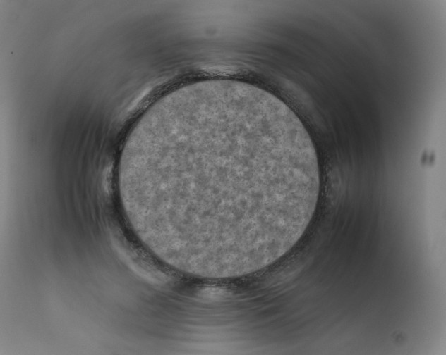 X0000111900596200908241004