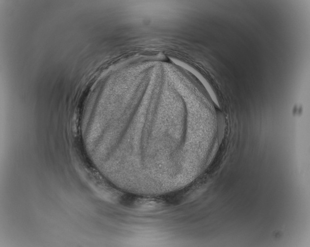 X0000111900597200908241004