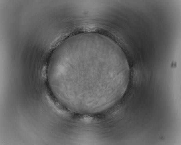 X0000111900598200908241004