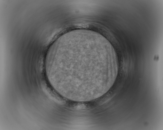 X0000111900600200908241004