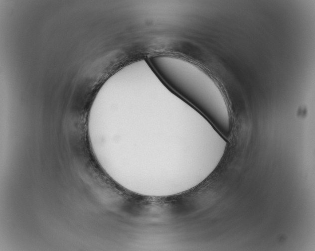 X0000111900601200908241004