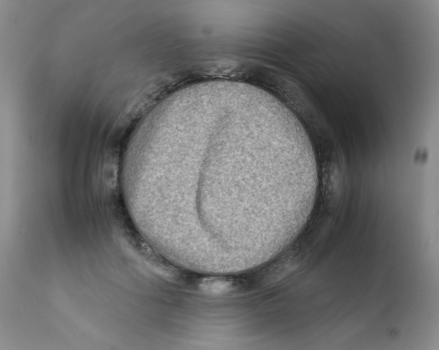 X0000111900602200908241004