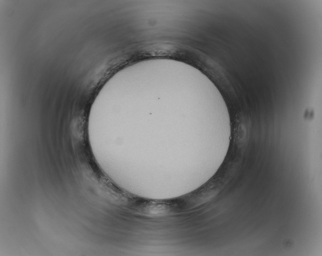 X0000111900604200908241004